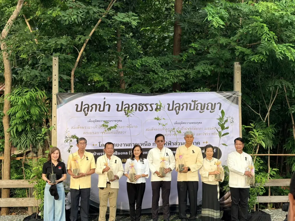 ปลูกป่า