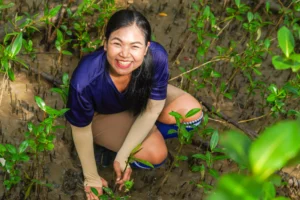 กิจกรรม CSR ปลูกป่าชายเลนบางปู SO Outsourcing สยามราชธานี