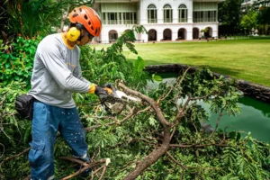 บริการ SO Outsourcing บริษัท สยามราชธานี จำกัด (มหาชน)