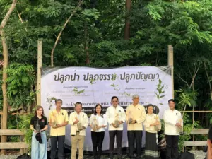 ปลูกป่า